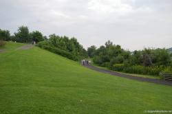 Goat Island hiking trail as seen from Niagara Falls Terrapin Point.jpg