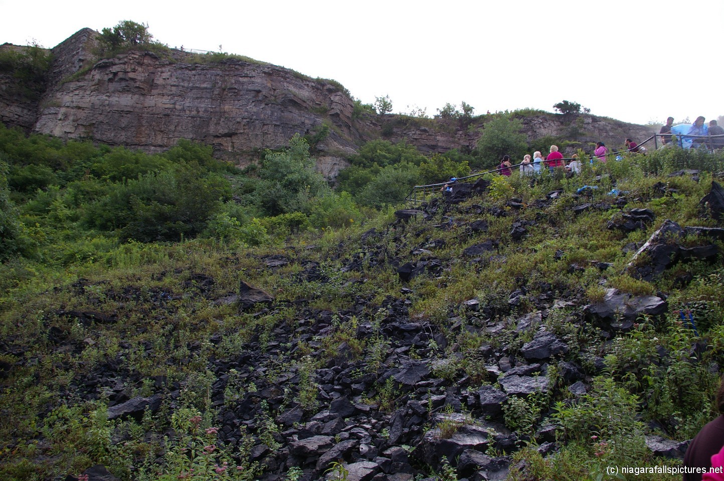 Jagged black rocks next to American Niagara Falls.jpg