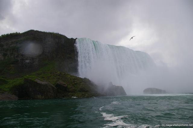 Maid of the Mist view of the Horseshoe Falls.jpg