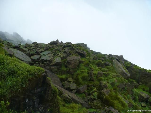 Mossy green rocks at the base of Niagara Falls Prospect Point.jpg