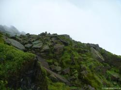 Mossy green rocks at the base of Niagara Falls Prospect Point.jpg
