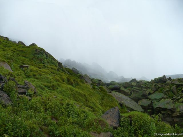 Niagara Falls Green Moss and Vegetation below Prospect Point.jpg