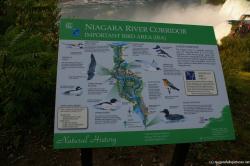 Niagara Falls River Corridor Important Bird Area sign.jpg