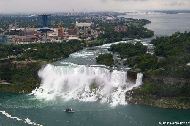 Picture of American Niagara Falls and various bridges viewed from Skylon Tower.jpg