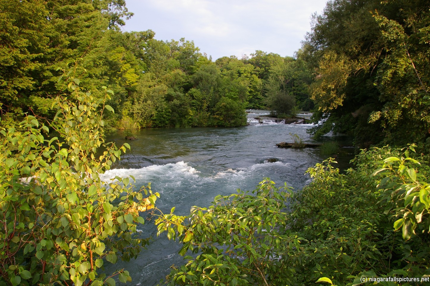 Rushing waters near a section of the American Niagara Falls.jpg