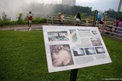 Terrapin Point information sign in Niagara Falls.jpg