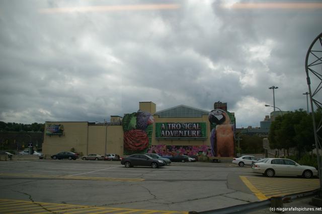 Bird Kingdom near Niagara Falls in Canada.jpg